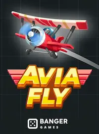 Avia Fly Avia Fly crash at G89 COM
